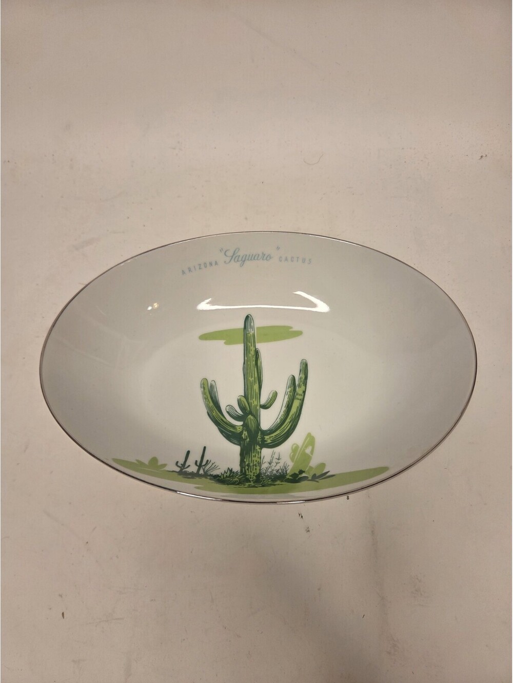 Vintage Blakely Arizona Saguaro Cactus 10" Oval Vegetable Serving Bowl China